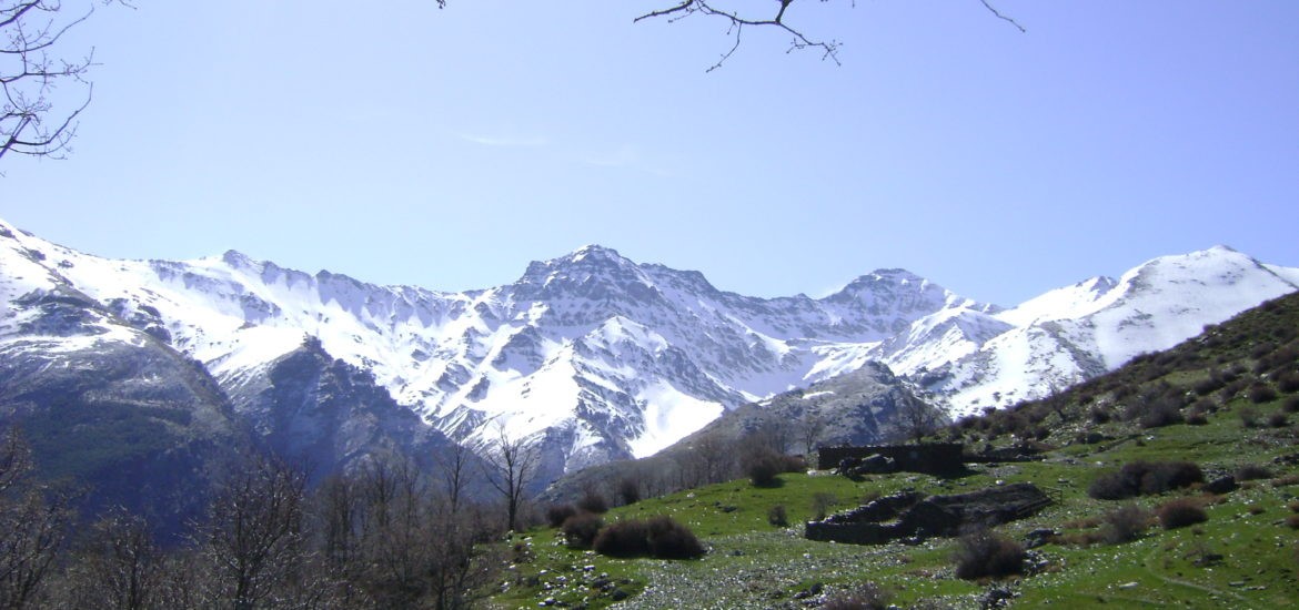 Sierra